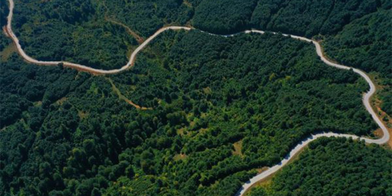 Trabzon ve 8 ili birbirine bağlayacak! 'Yeşil Yol'da çalışmalar sürüyor