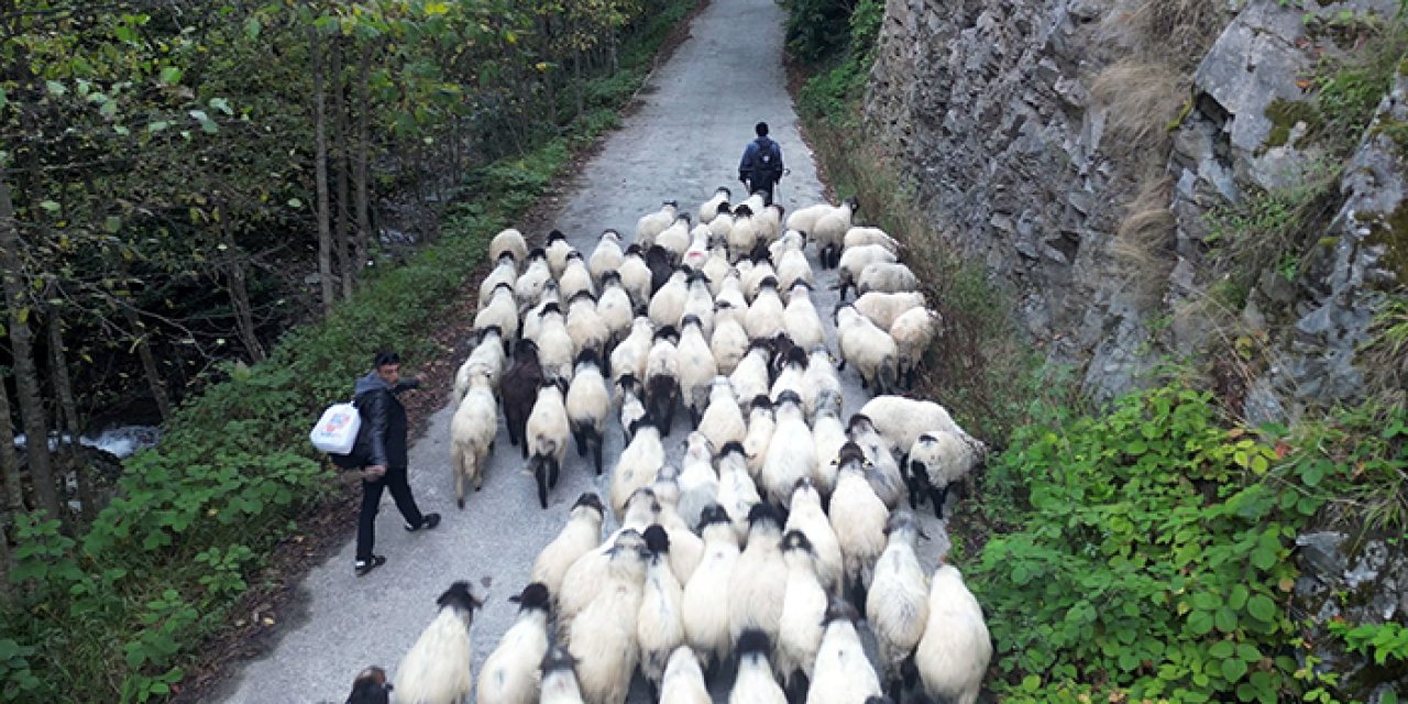 Gümüşhane yaylalarından göçler sürüyor
