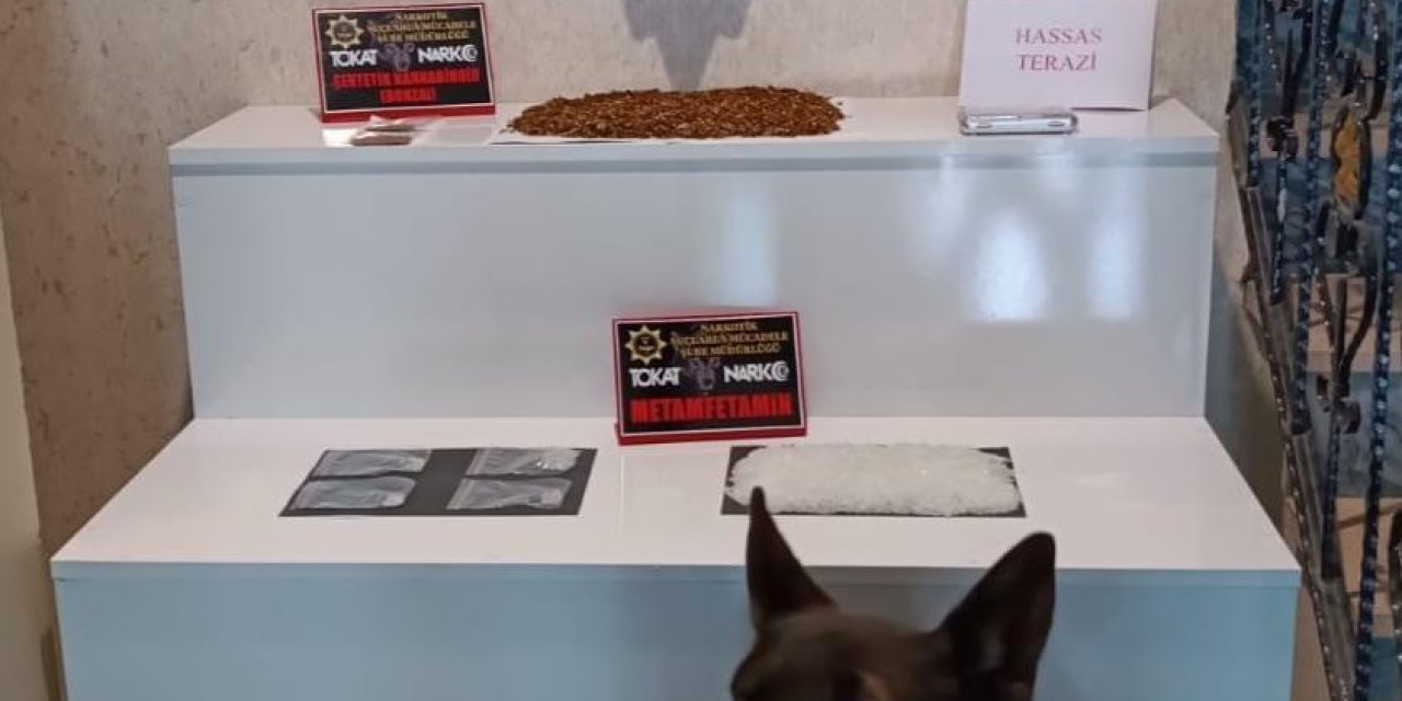 Tokat'ta uyuşturucu operasyonu! 1 kişi tutuklandı