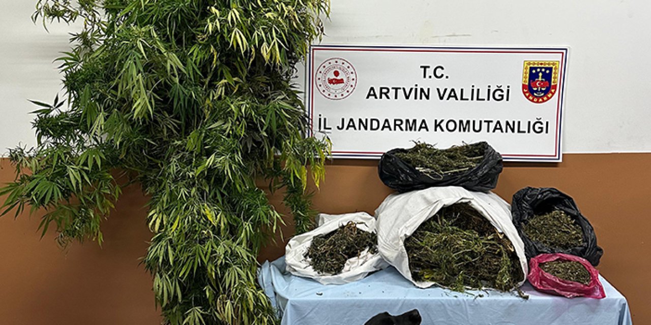 Artvin'de uyuşturucu operasyonu! 1 tutuklama
