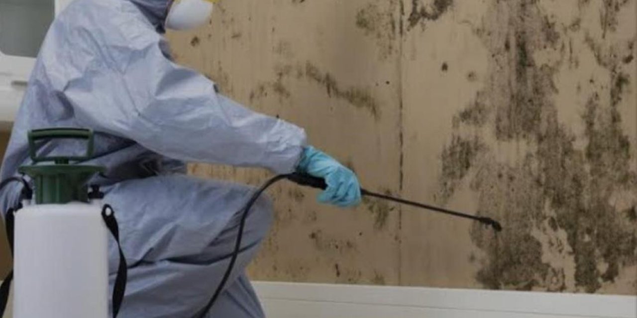 Bölgemizde sayısı artan bu böceğe dikkat!