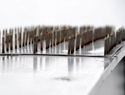 Rize'de intihara çivili önlem