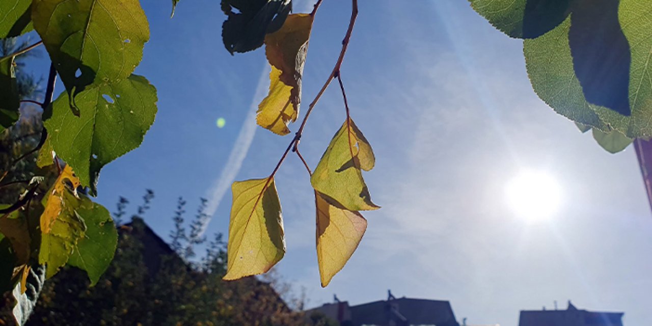 Gümüşhane’de pastırma yazı etkili oluyor