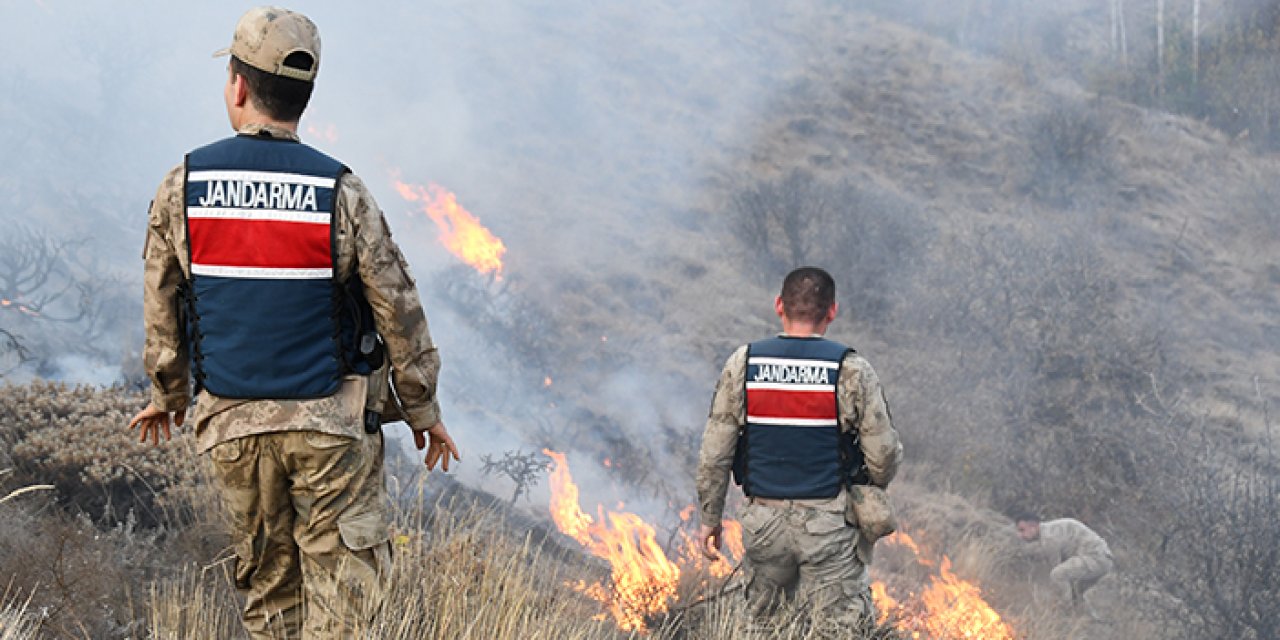 Gümüşhane'de 5 hektar alan küle döndü