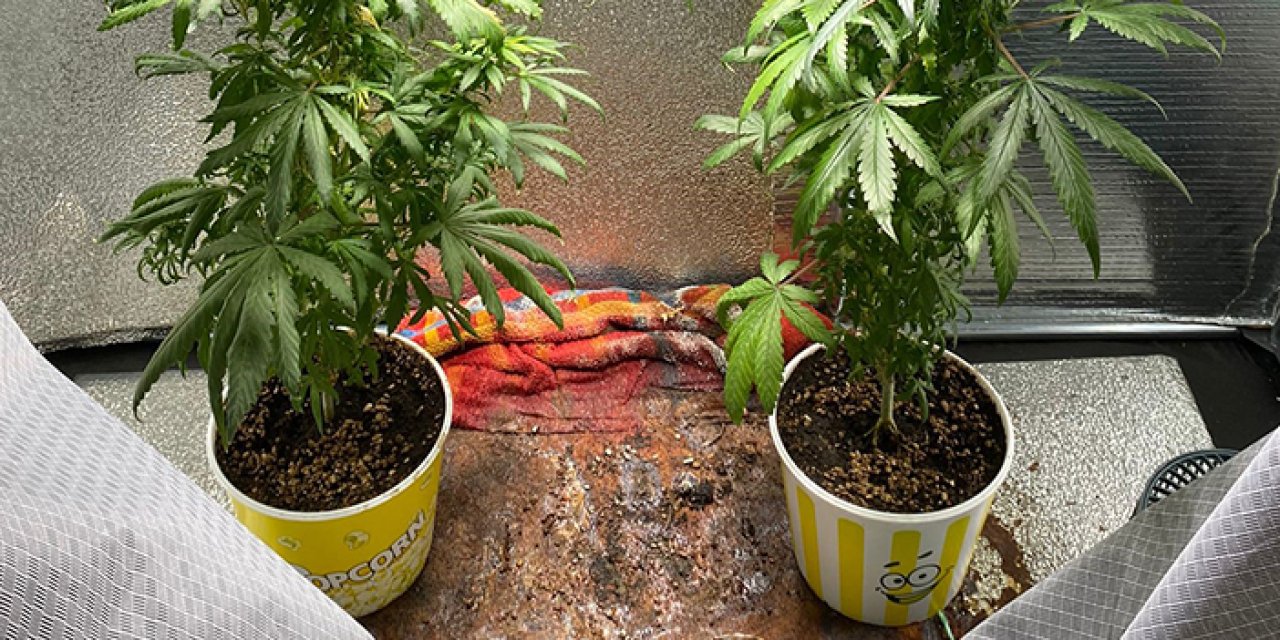 Samsun'da polisten narkotik uygulaması! 22 kişi hakkında işlem