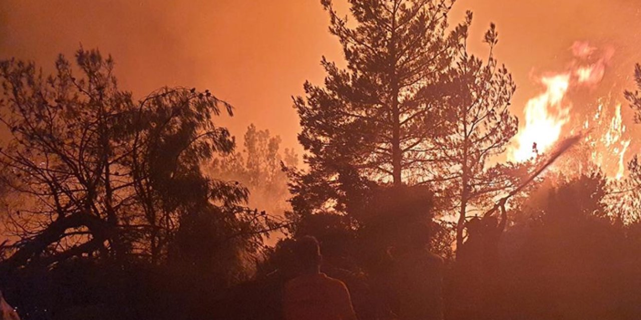 11 terörist yakalandı! 'Orman yaktırma talimatı'