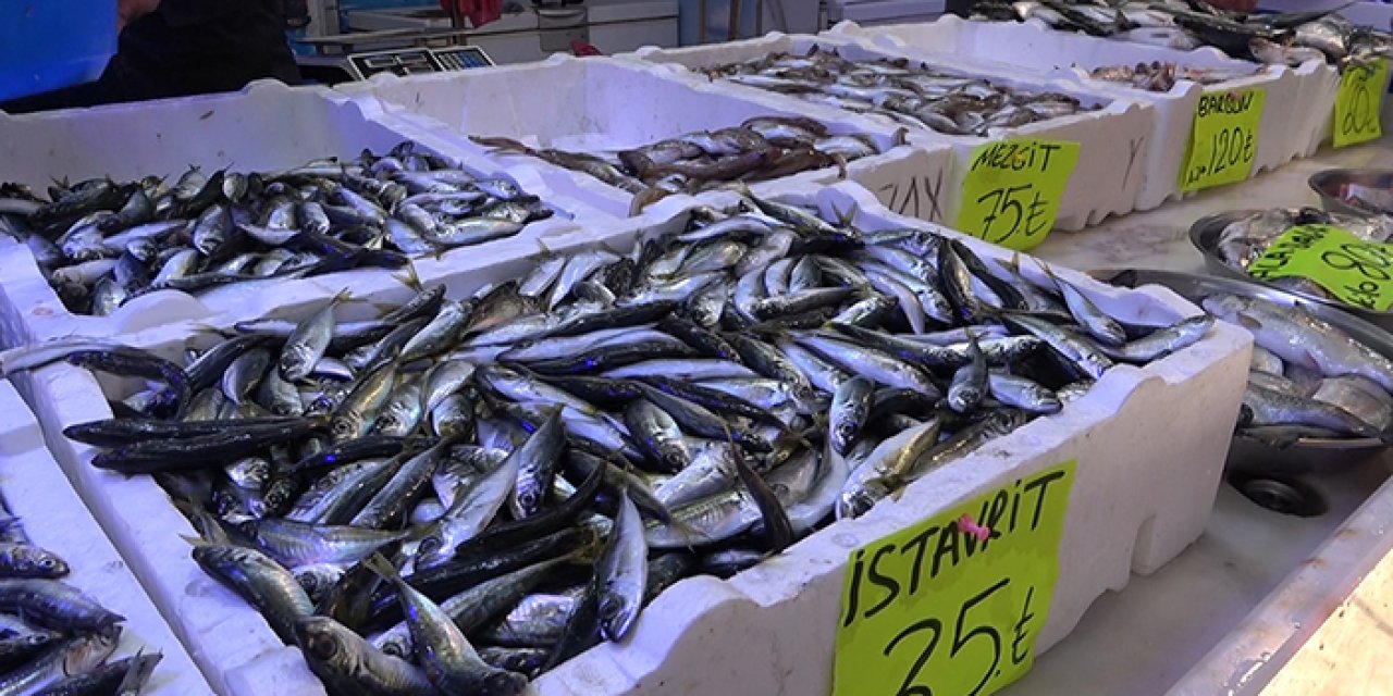 Balıkçıların tek umudu denizlerin soğuması! "Balık çeşitleri az"