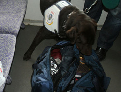 Yolcu treni polis köpeği ile arandı