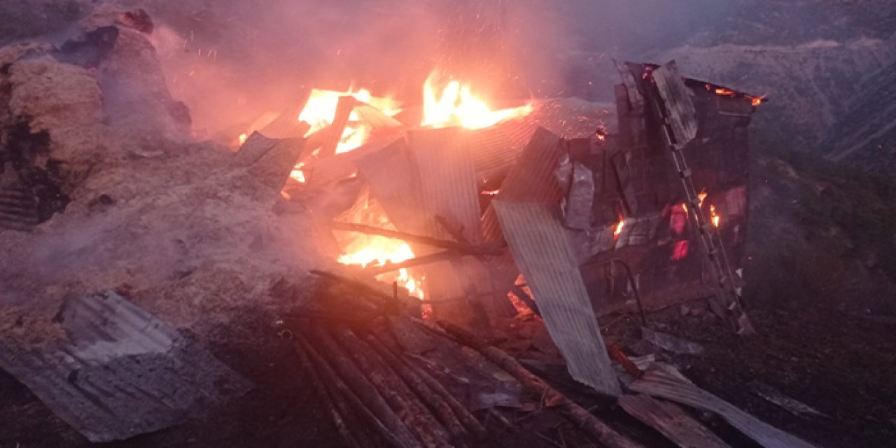 Gümüşhane'de ahırda yangın! 9 büyükbaş telef oldu