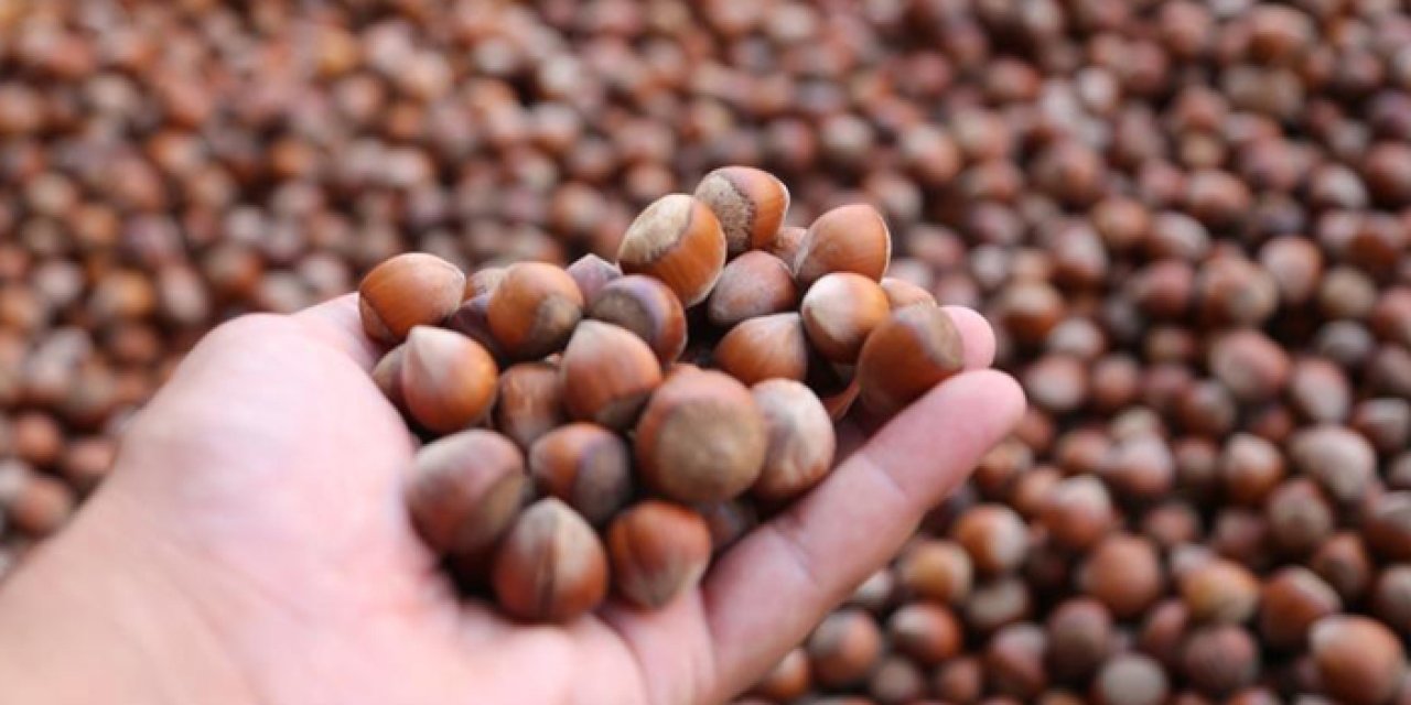 Fındıktan 2 ayda 356 milyon döviz geldi
