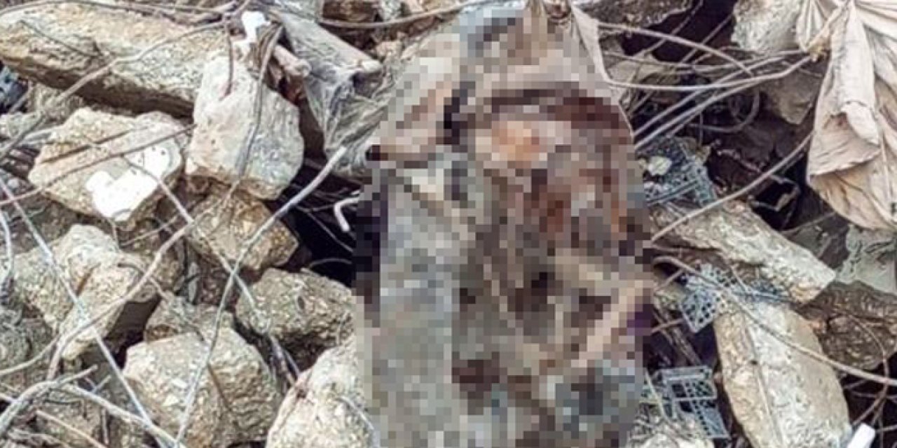 Felaketin 276. gününde aynı enkazdan iki ceset çıktı