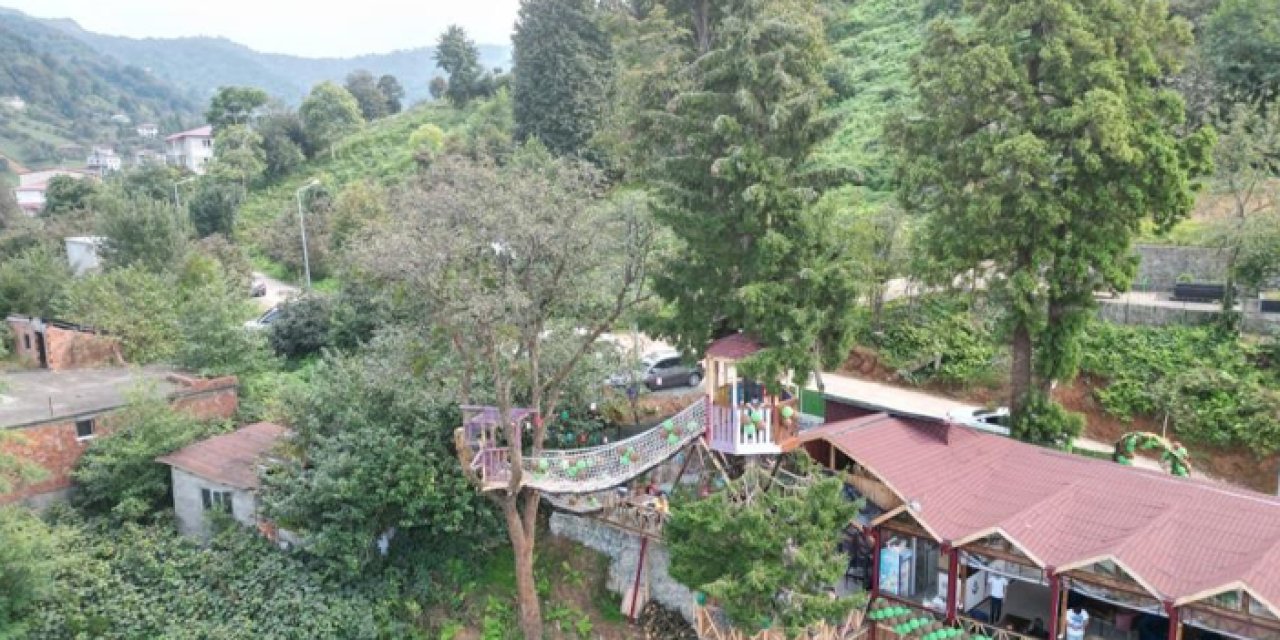 Ağaçları kesmeye kıyamadı! Restoran sahibi çareyi böyle buldu