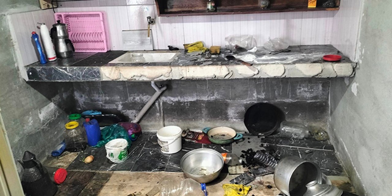 Giresun'da aç kalan ayılar evlere dadandı