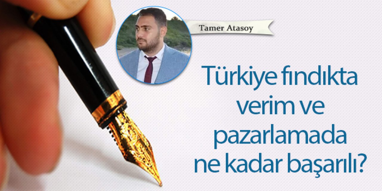 Türkiye fındıkta verim ve pazarlamada ne kadar başarılı?