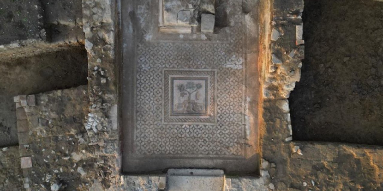 Batı Karadeniz'den tarih fışkırıyor: Aslanlı mozaik bulundu