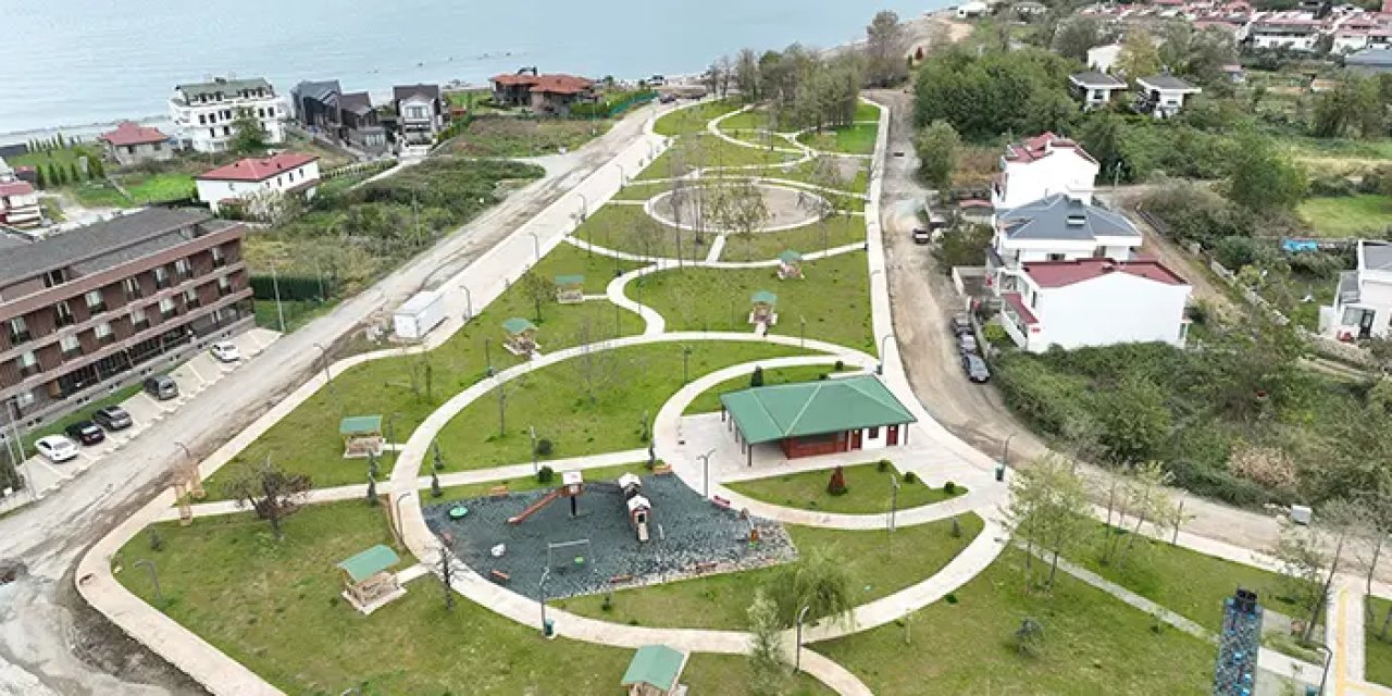 Ordu'da bataklık alan yaşam alanına dönüştürüldü