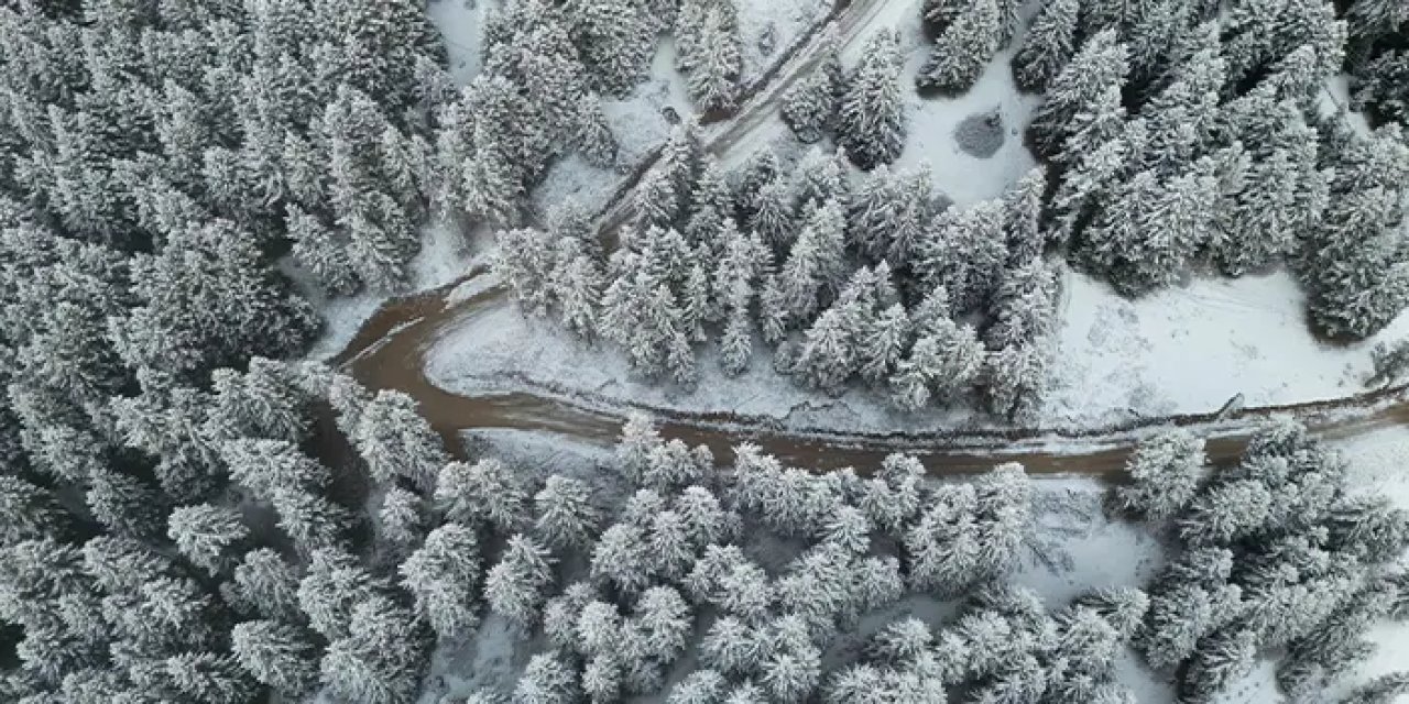 Giresun yaylalarından kartpostallık kar manzaraları