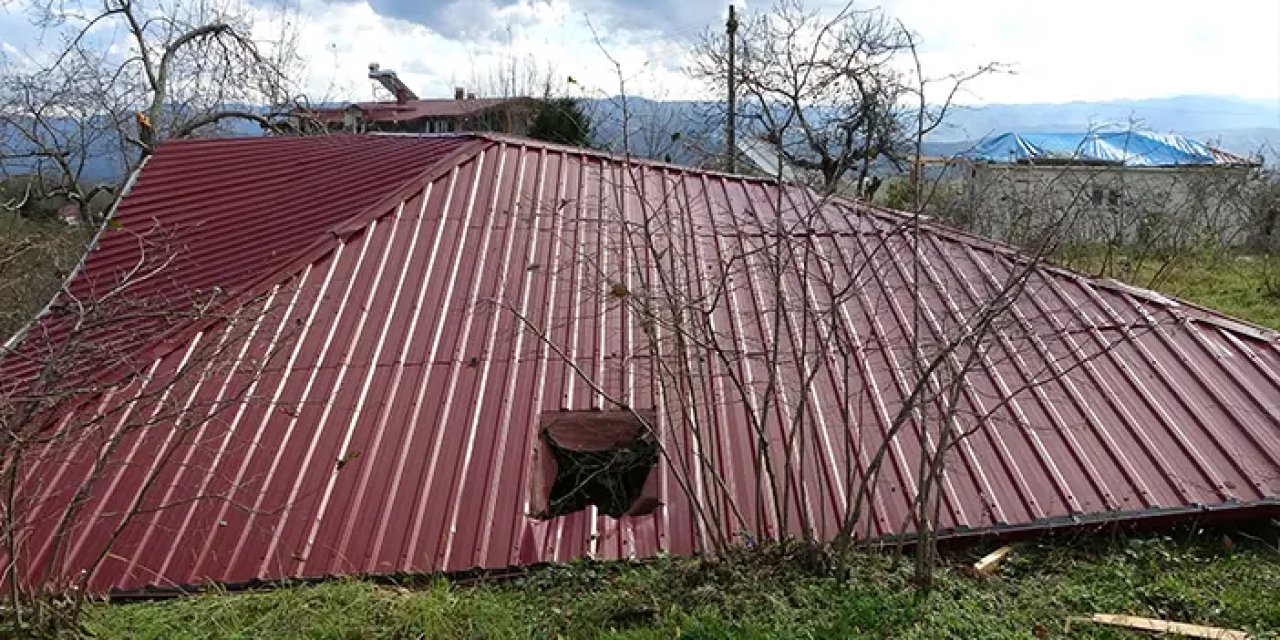 Ordu'da fırtına çatıları uçurdu! "Deprem sandık"