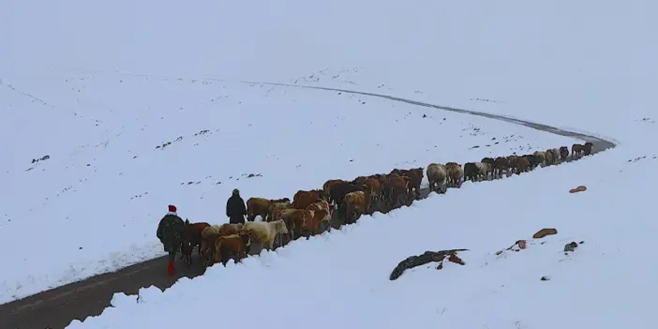 Bayburt'ta köy sakinleri il ve ilçe merkezine dönüyor