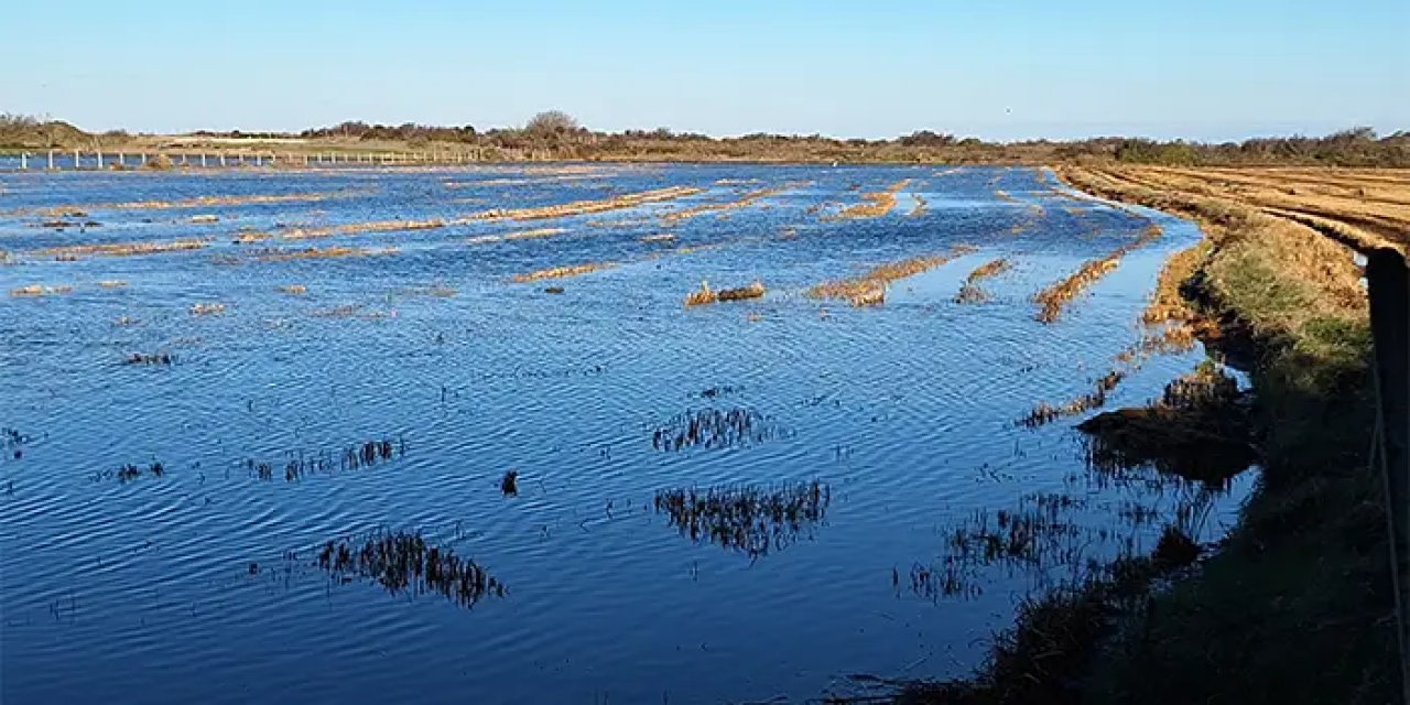 Samsun'da tarım alanları fırtına nedeniyle sular altında kaldı