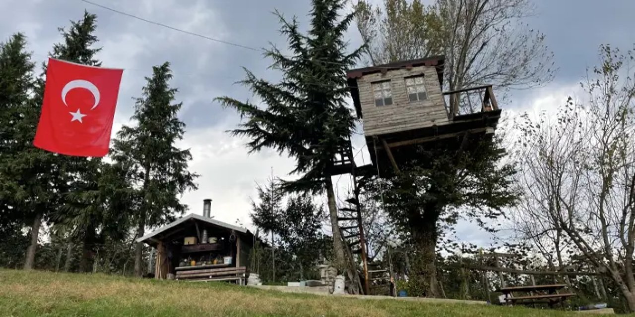 Karadeniz'de 17 metrekarelik ağaç ev ilgi odağı oldu!