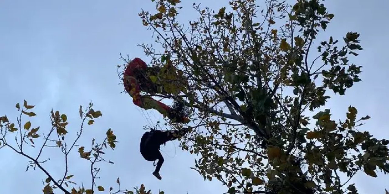 Samsun'da ağaçta asılı kalan paraşütçü kullanıldı