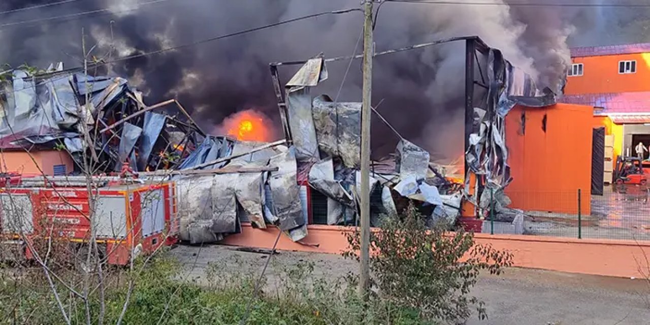 Giresun'da balık fabrikasında yangın! Dumanlar gökyüzünü kapladı