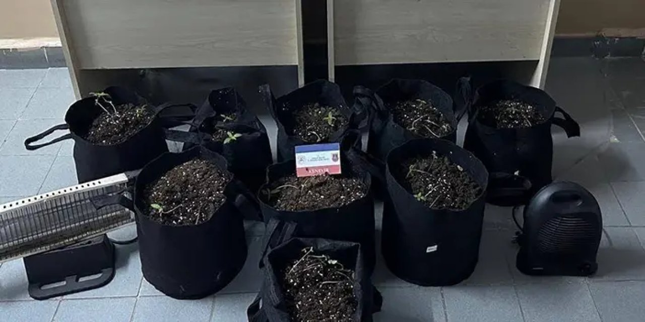 Samsun'da 510 şahıs yakalandı