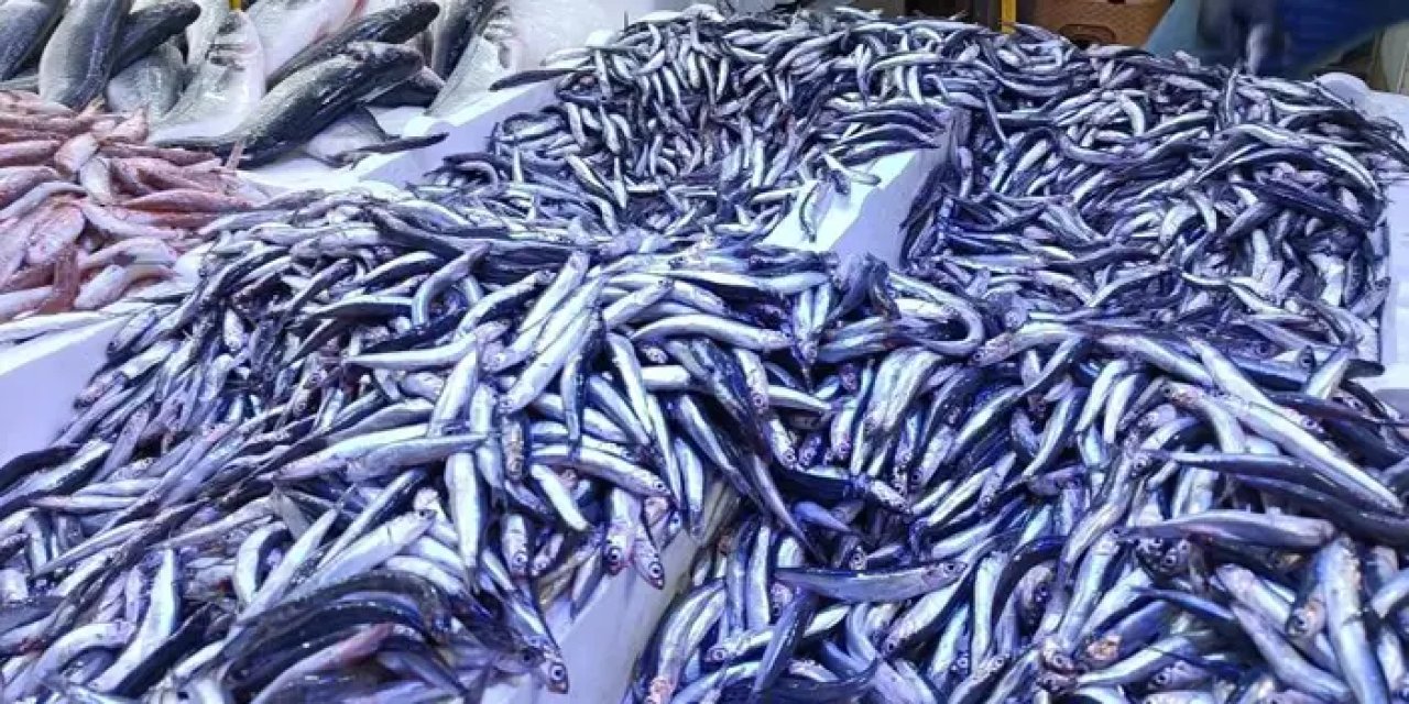 Karadeniz ilinde hamsi 25 TL'ye düştü! Vatandaşlar balıkçılara akın etti