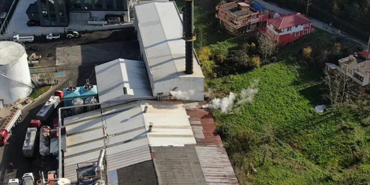 Trabzon'un bu ilçesinden hamsi kokusu hiç gitmiyor