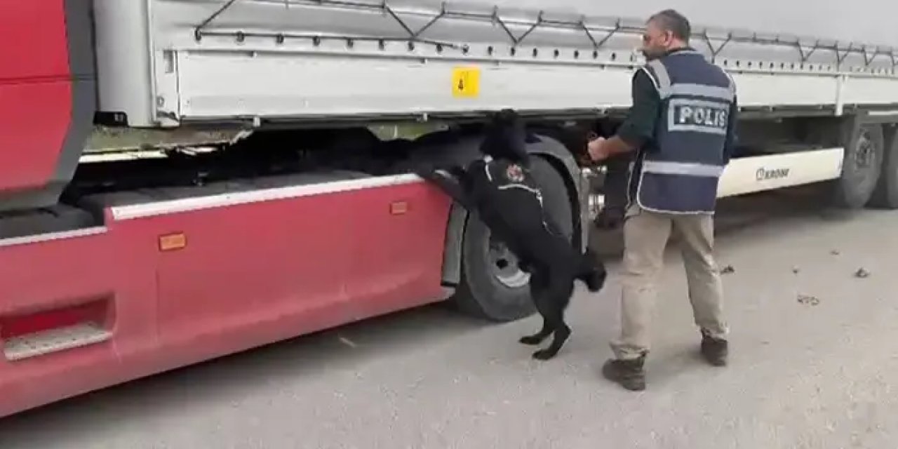 Samsun'da narkotik polisi tırda arama yaptı! 3 kilo skunk ele geçirildi