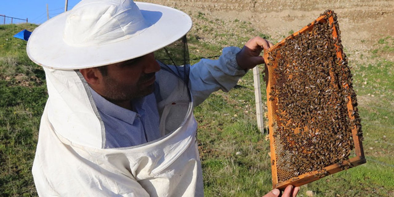 Samsun’da arıcılara kovan ve malzeme desteği!