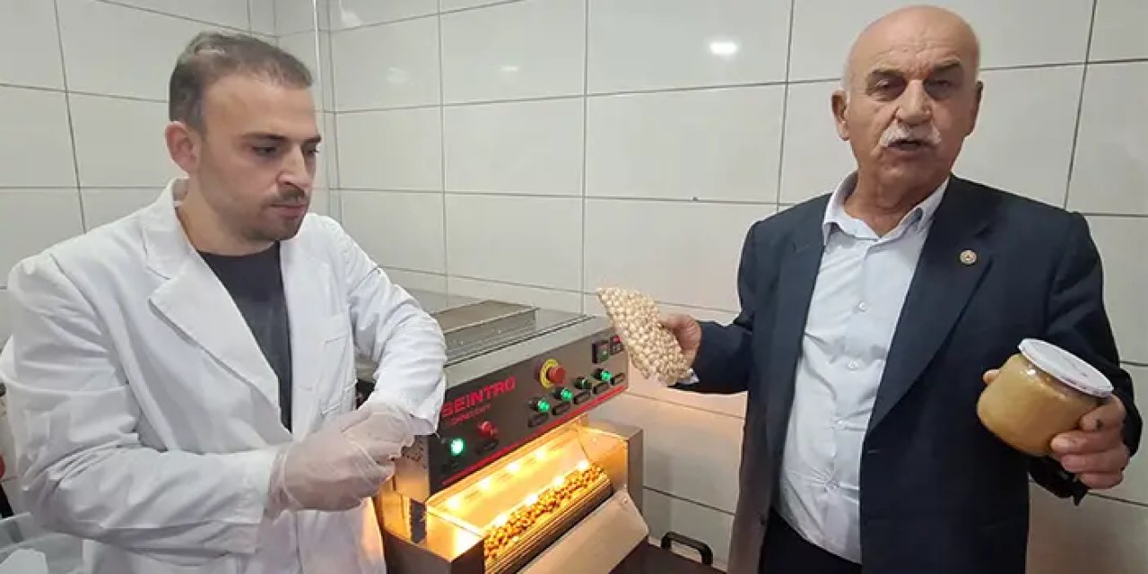 Samsun Bafra'ya yeni fındık işleme tesisi