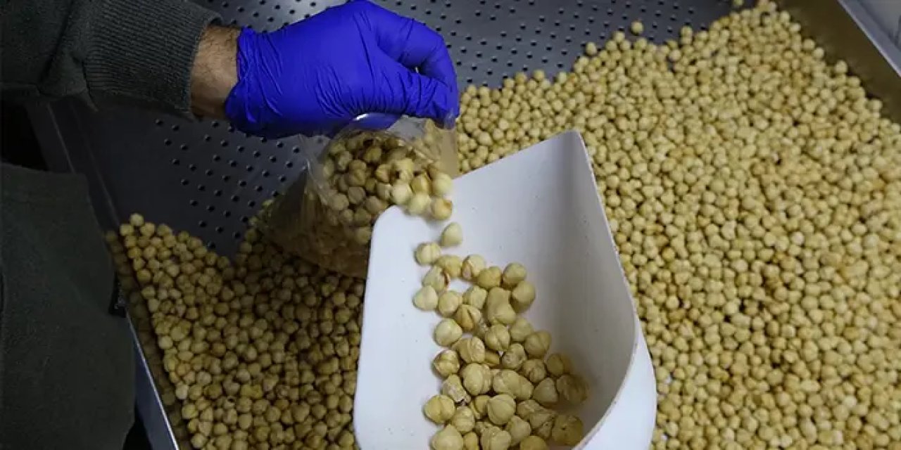 Dereköylü:"Fındık bölgesiyiz ancak halkımız fındığın randımanı hakkında yeterli bilgiye sahip değil"