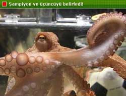 Paul seçimini yaptı!