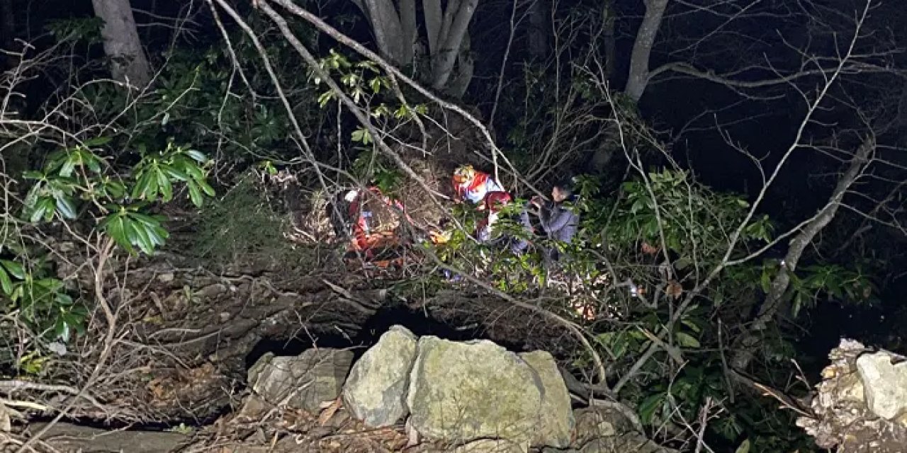 Ağaç keserken uçurumdan yuvarlandı! Olay yerinde can verdi