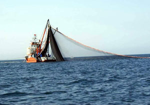 Bilim adamlarından acı bir gerçek