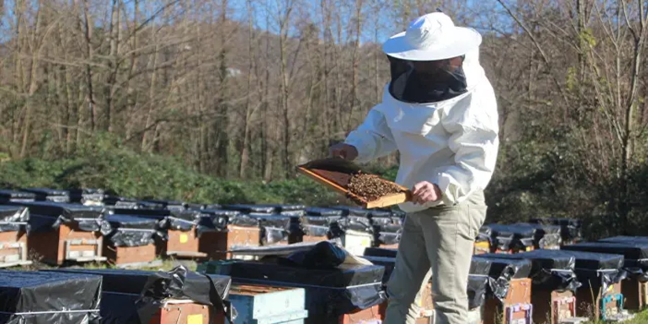 Ordu'da kış bakımıyla bal üretimini artırma çabası!