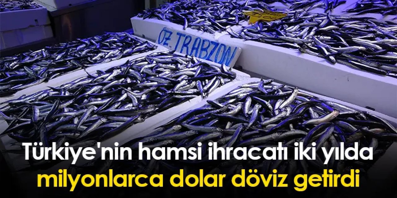 Türkiye'nin hamsi ihracatı iki yılda milyonlarca dolar döviz getirdi