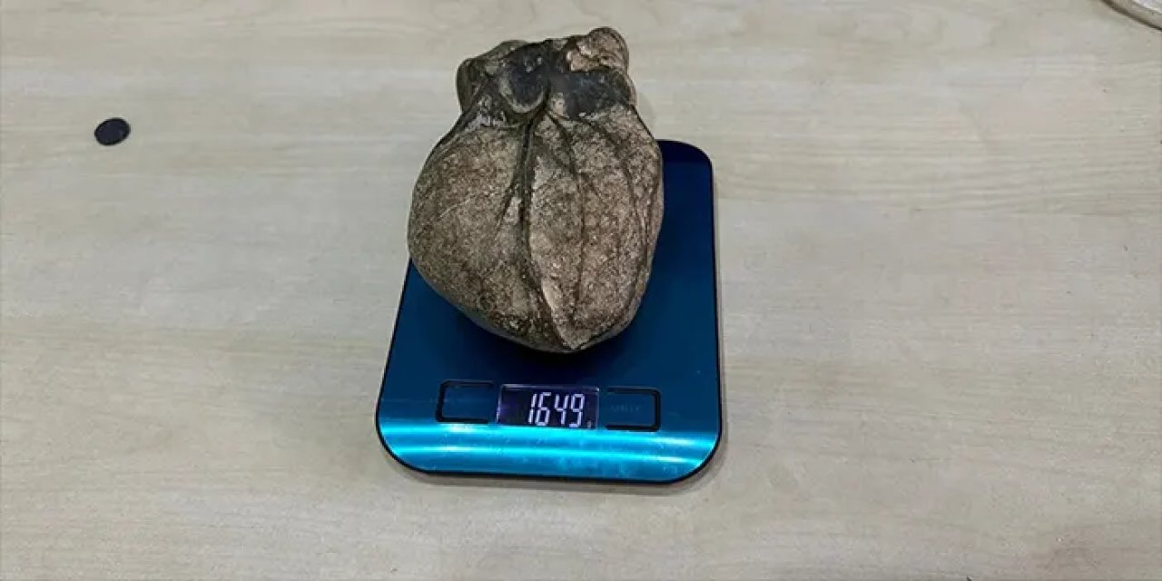 Kazı çalışmalarında bulundu! Kalp şeklindeki taş merak uyandırdı