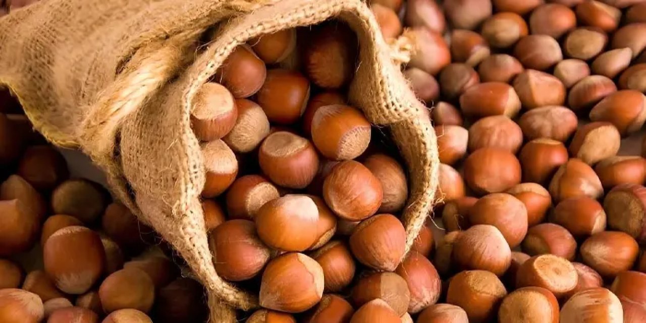 Fındık fiyatı yeniden yükselişe geçti! Artış devam edecek mi?