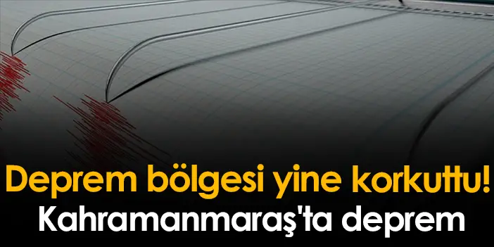 Muş bu sabah depremle uyandı!