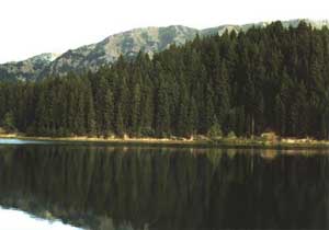 Doğa harikası Karagöl