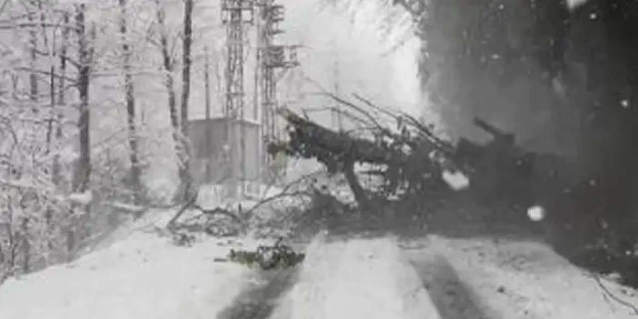 Artvin'de ağaç yola devrildi! Sürücü son anda kurtuldu