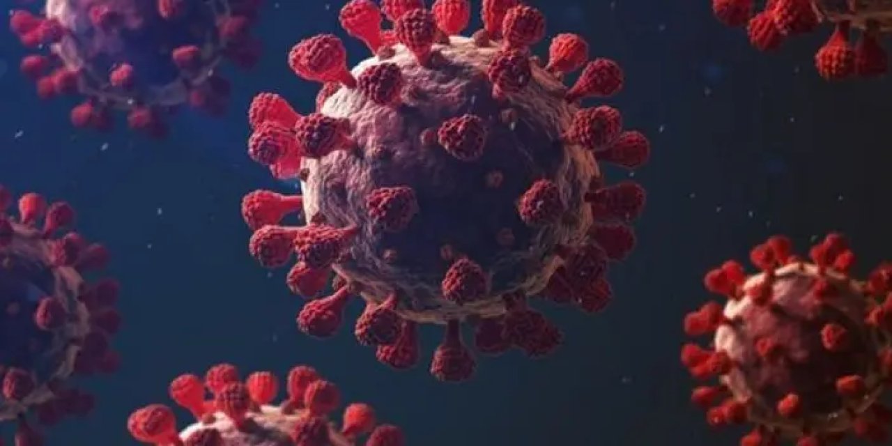 Ölümcül virüsle deney yapıyorlar! "Bu çılgınlık acilen durdurulmalı"