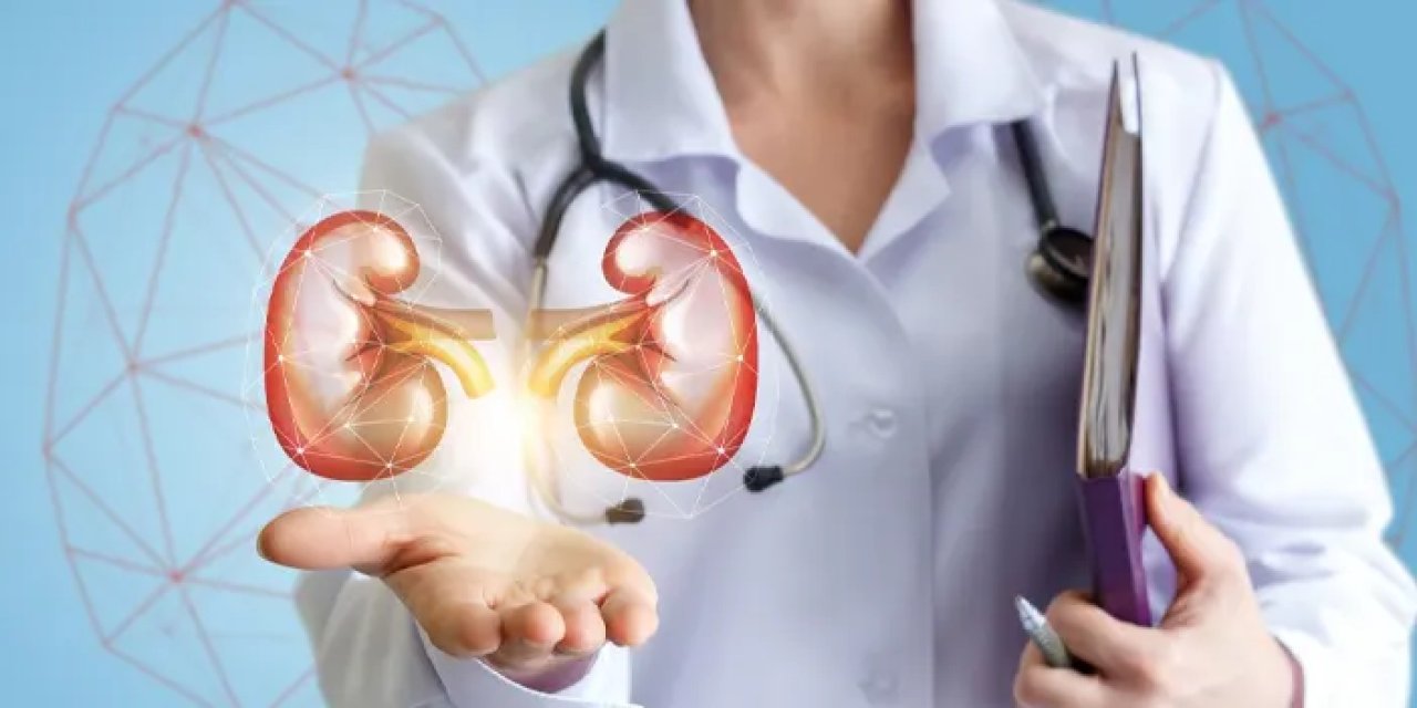Nefroloji nedir? Nefrologlar neye bakar?