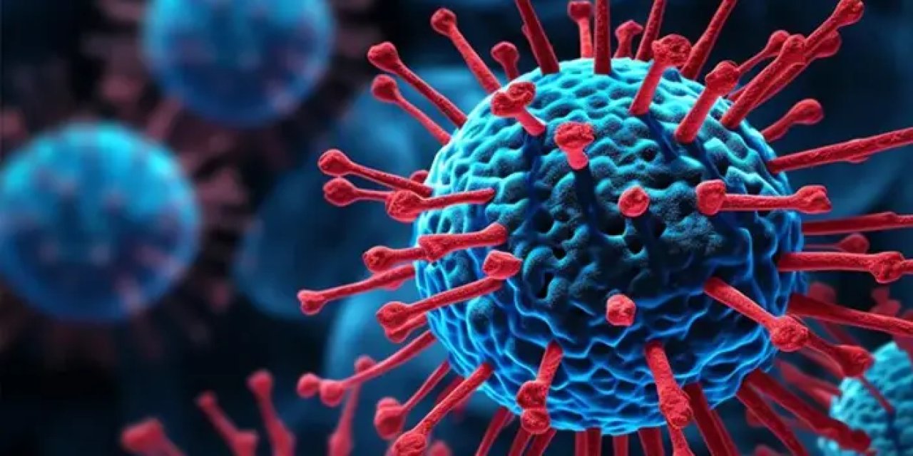 Bakan Koca'dan "X hastalığı" açıklaması! "Siz rahat olun"