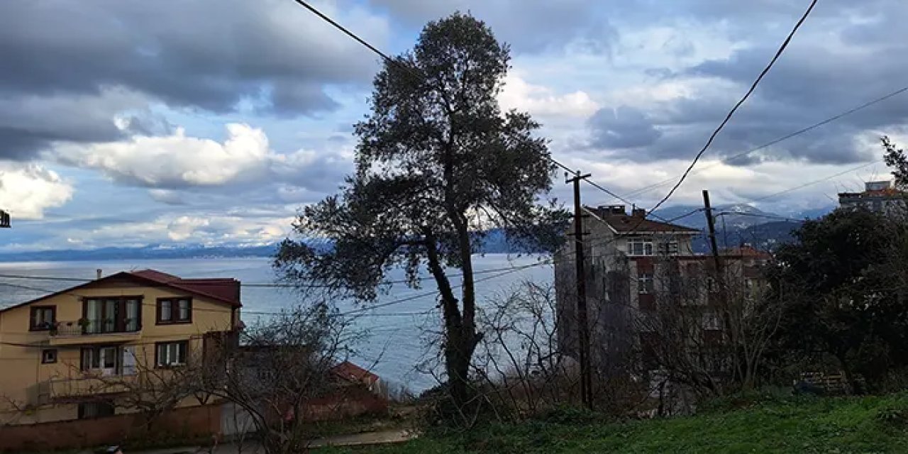 Osmanlı Devleti'nin tarihinde yer alıyordu! Trabzon'da tek temsilcisi 200 yaşında