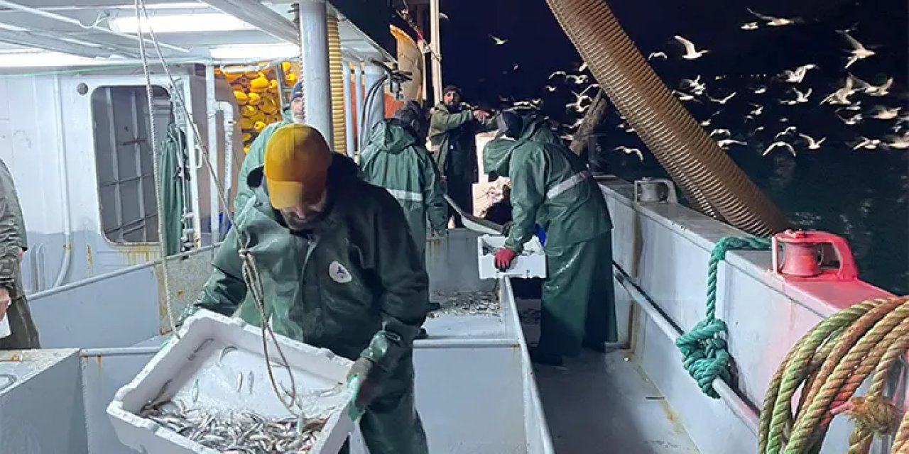 Hamsi geri döndü! Balıkçıların yüzü güldü