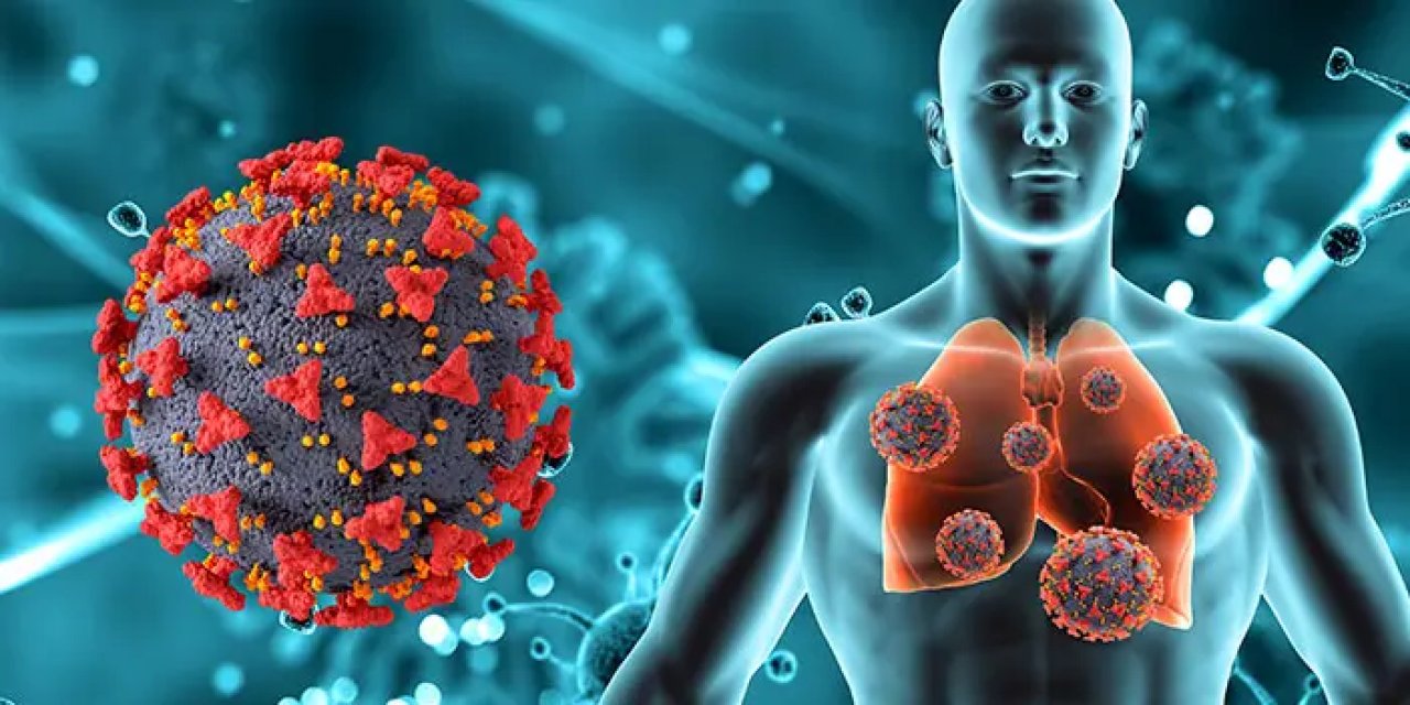 Zatürre vakalarında artış! Zatürre nedir? Zatürre nasıl bulaşır, belirtileri neler?